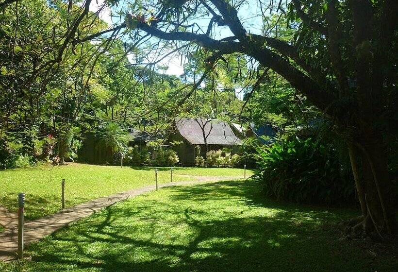호텔 Ferntree Rainforest