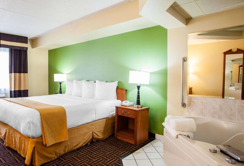 בית מלון כפרי Quality Inn Bolingbrook I 55