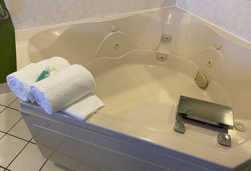 בית מלון כפרי Quality Inn Bolingbrook I 55