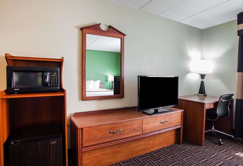 בית מלון כפרי Quality Inn Bolingbrook I 55