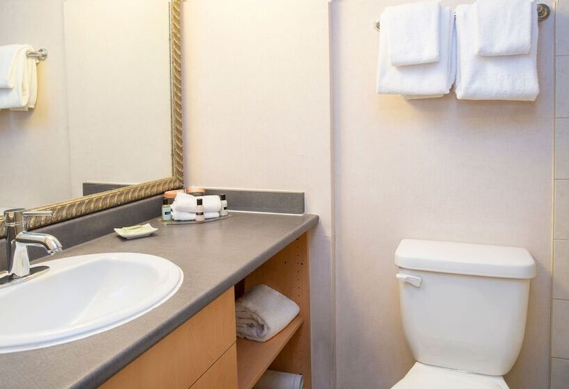 ホテル Sandman Suites Vancouver On Davie