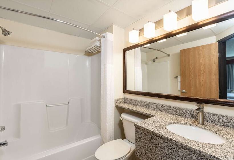 Surestay Plus Hotel By Best Western Litchfield