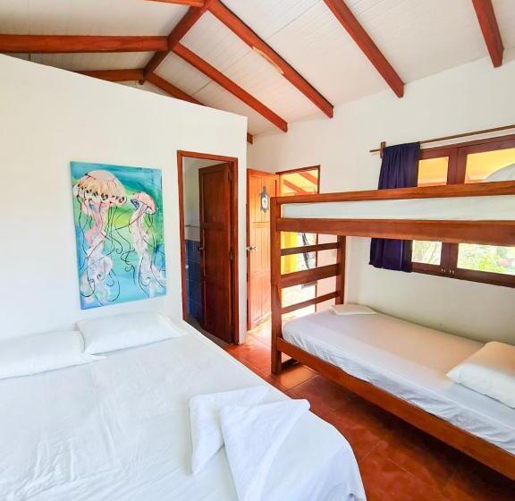 هاستل Surfing Turtle Lodge