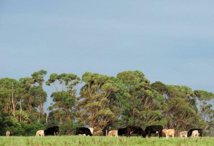 住宿加早餐  Ruby Rose