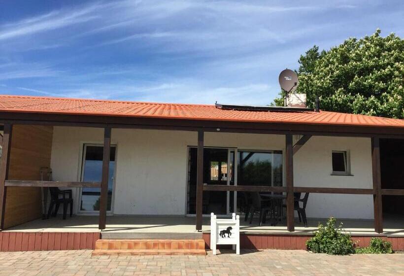 酒店 Ferienhaus 3 _ Ferien Im Gutspark