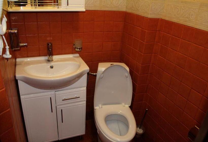 호텔 Gostyniy Dvir Synevir