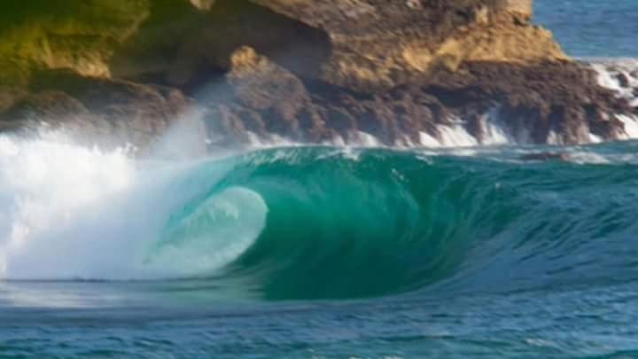 פנסיון Arrys Watukarung Surfcamp