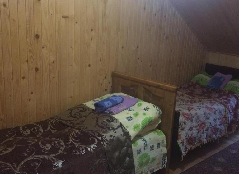 بنسيون Krasa Karpat