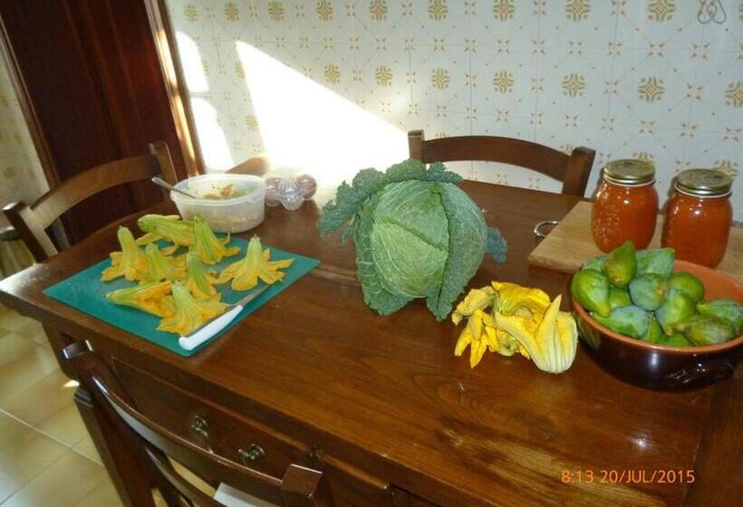 بنسيون Tuscan Hilltop