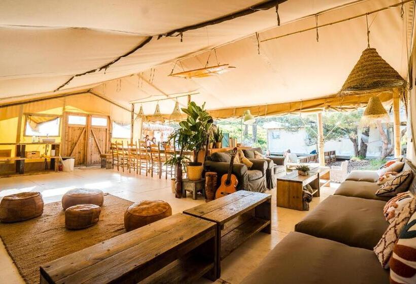 ユースホステル Surfana Beach Bed & Breakfast Bloemendaal