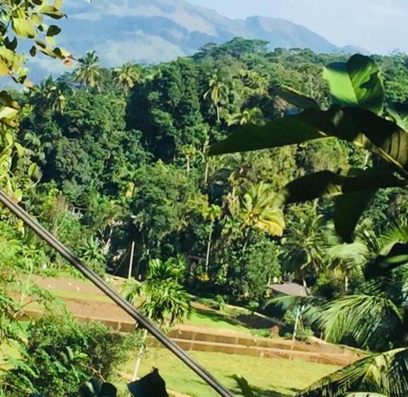 ペンション New Toropi Homestay