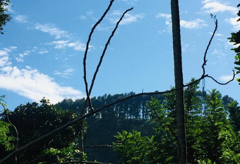 ペンション New Toropi Homestay