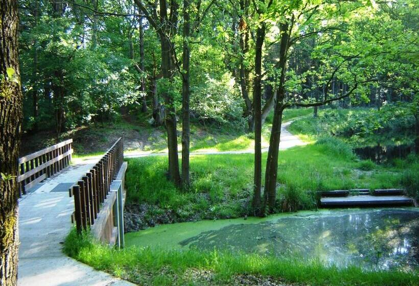 مبيت وإفطار Bed En Breakfast De Boksloot