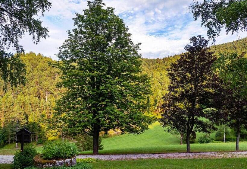 ベッドアンドブレックファースト Landsitz Oberhof Petit Hôtel