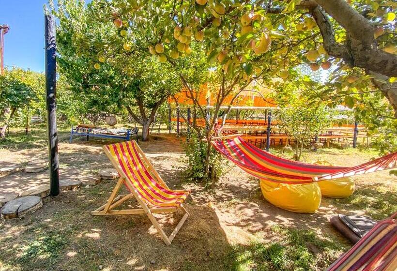 تختخواب و صبحانه Noosh Guesthouse