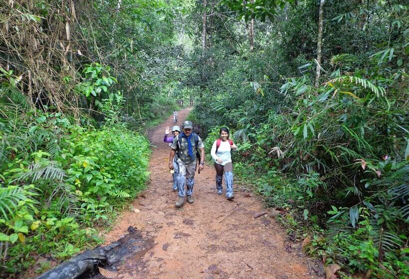 فندق Explorer By Eco Team   Sinharaja