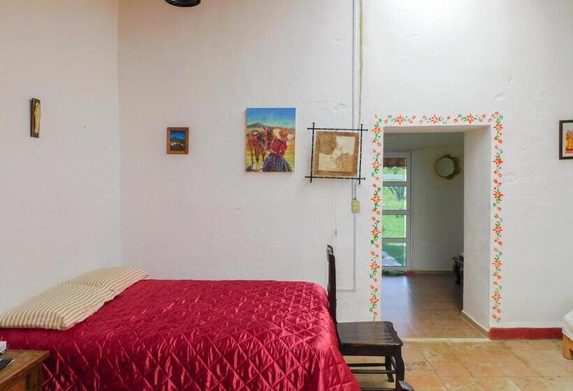 בית מלון כפרי Hacienda La Noria Culture Boutique By Rotamundos