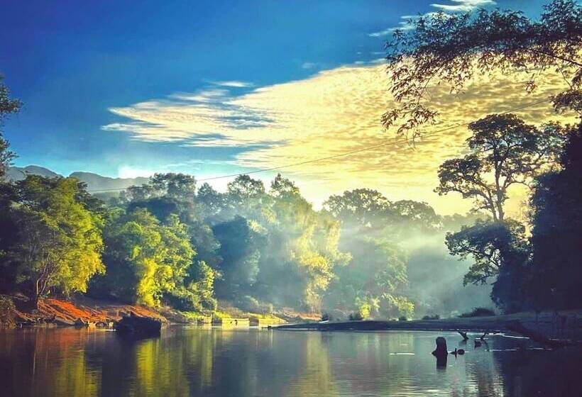 هتل Springriver Resort