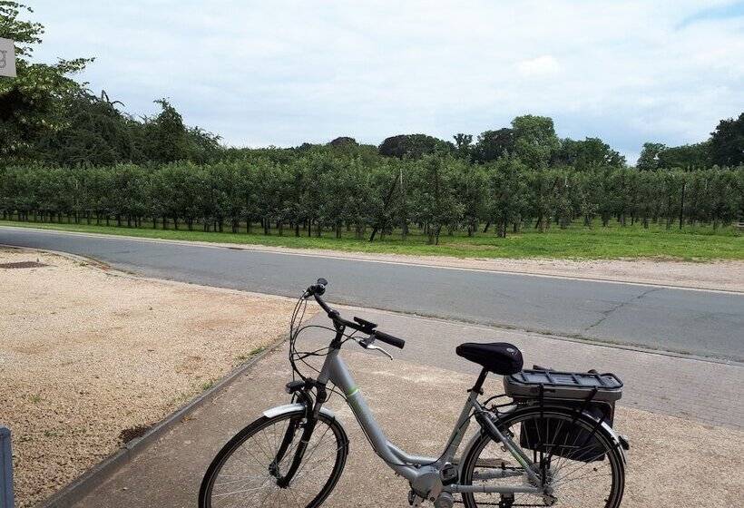 B&b De Fruithoeve