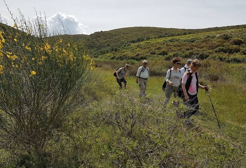 בית מלון כפרי Alterna Koy Evi