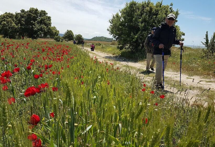 בית מלון כפרי Alterna Koy Evi