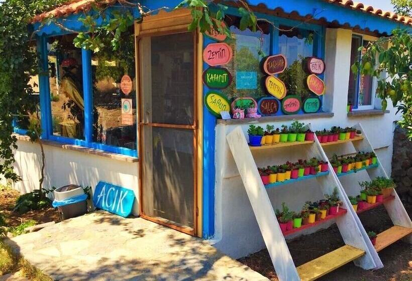 בית מלון כפרי Alterna Koy Evi