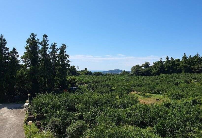 ホテル Jejumermuri