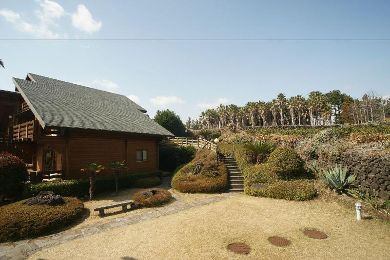 فندق Sunnyday Jeju
