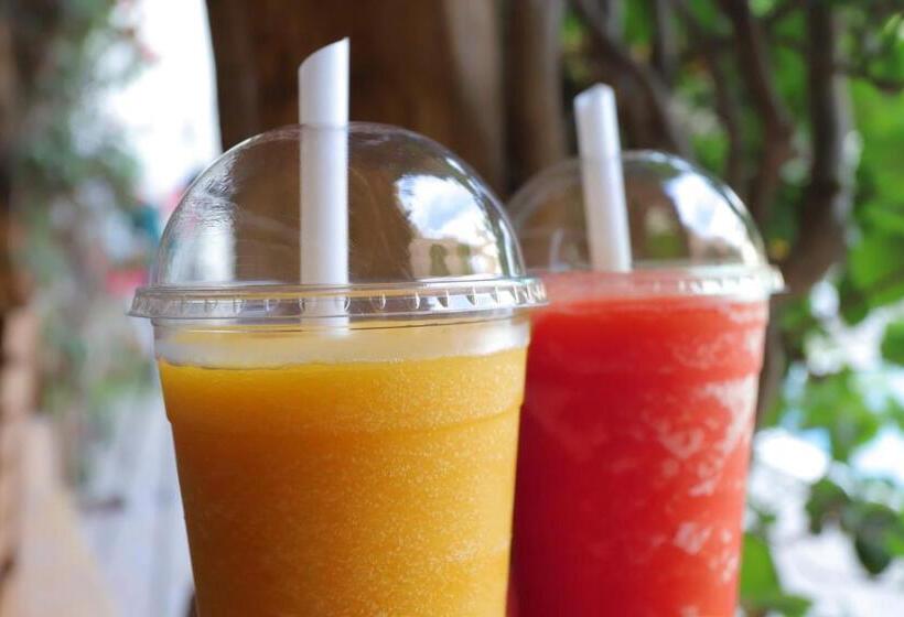 ホテル Casa Andina Standard Nasca