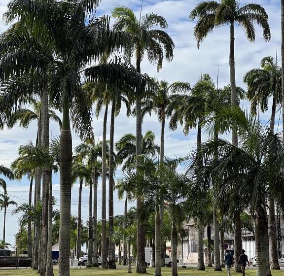 هتل Ibis Styles Cayenne Centre Amazonia