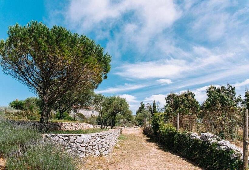 בית מלון כפרי Casas De Pedra   Quinta Da Escola