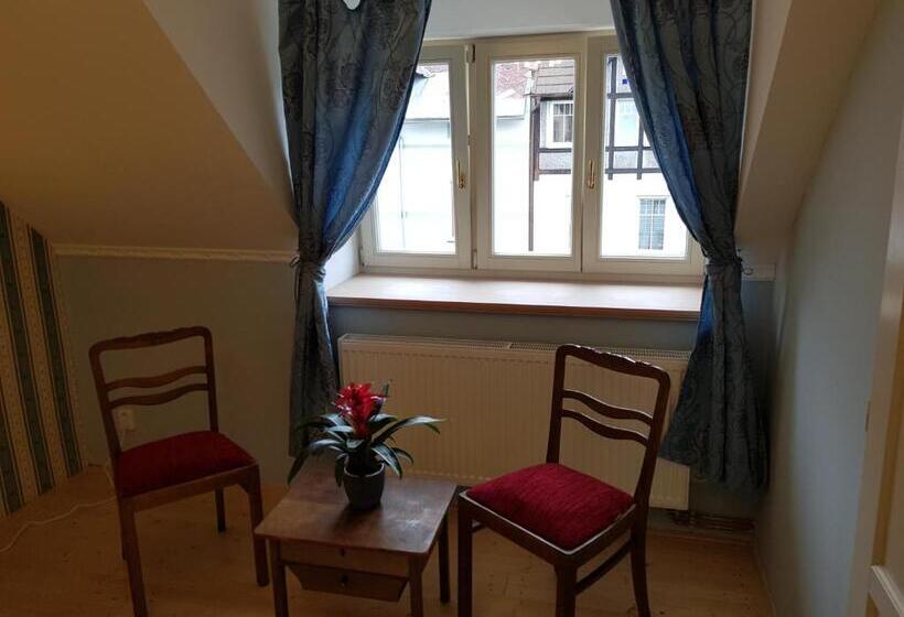 ペンション Vila Janáčkova   1st Republic Villa