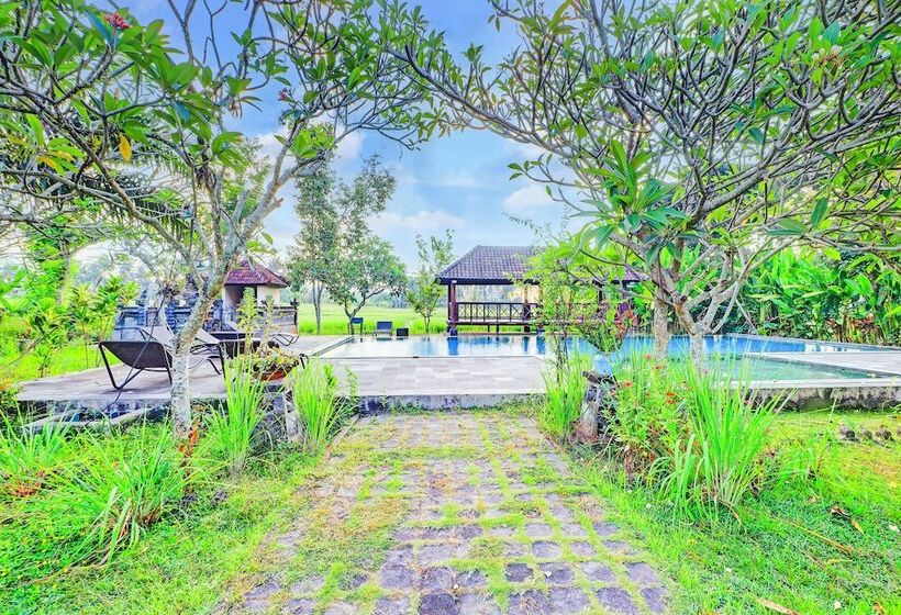 هتل Collection O Ubud Near Central Ubud