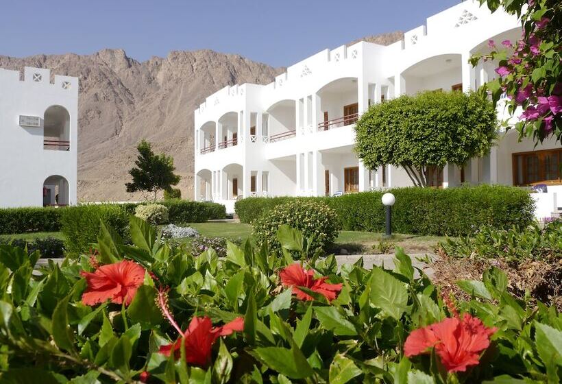 هتل Happy Life Village Dahab