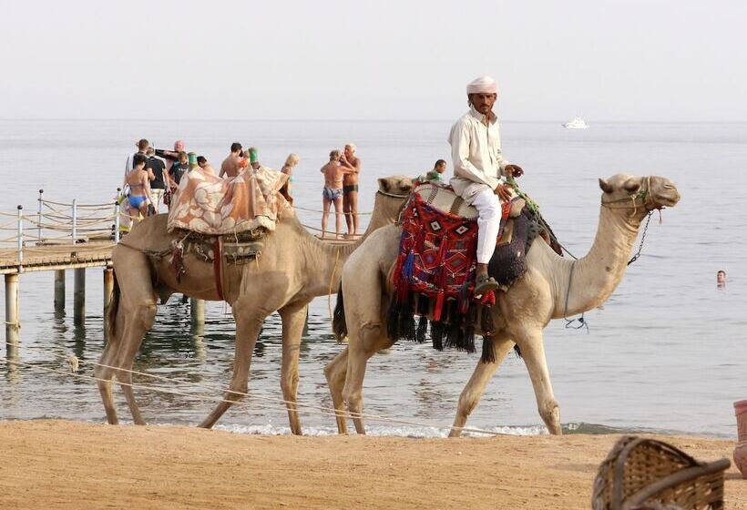 هتل Happy Life Village Dahab