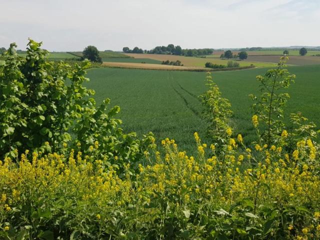 تختخواب و صبحانه Boslucht Leuven