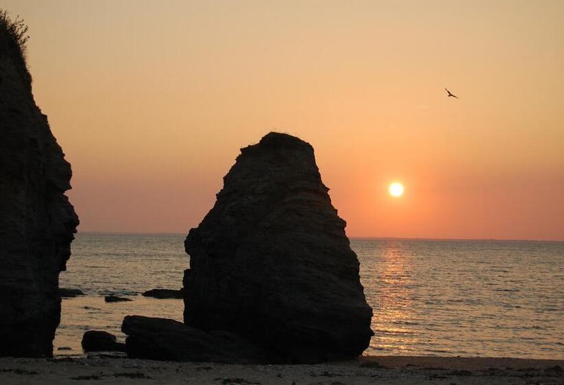 住所  Résidence Les Iles