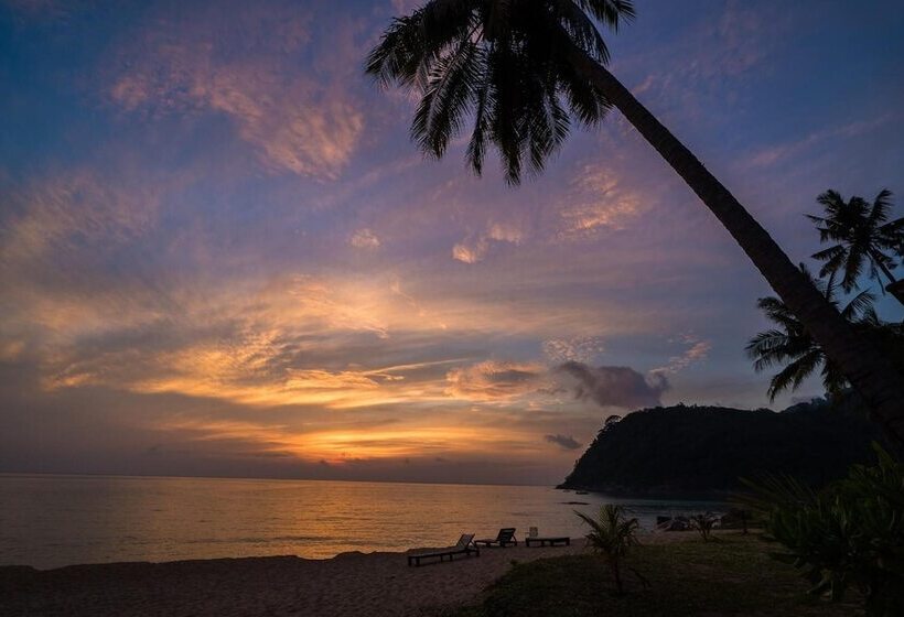 فندق 1511 Coconut Grove