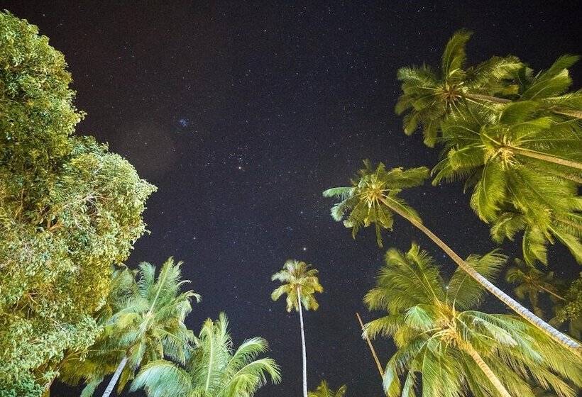 فندق 1511 Coconut Grove