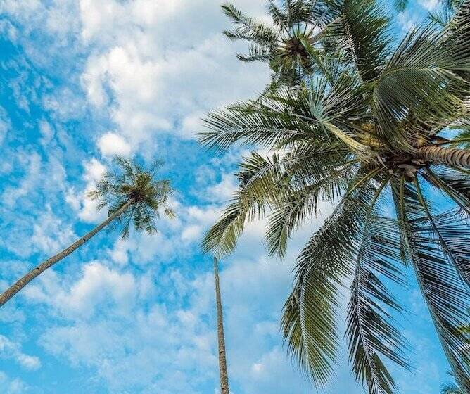 فندق 1511 Coconut Grove