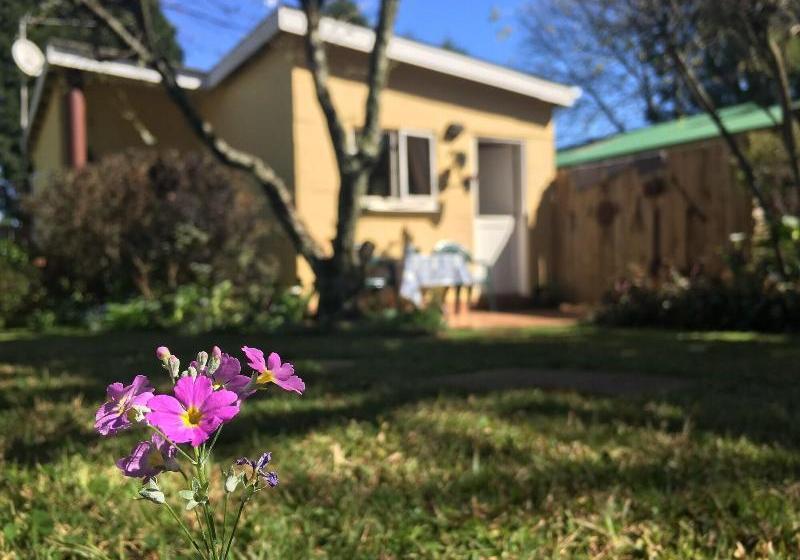 פנסיון Cabin&cottage Kaapsehoop