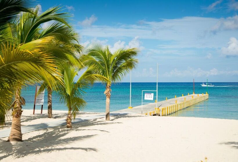 هتل Allegro Cozumel All Inclusive