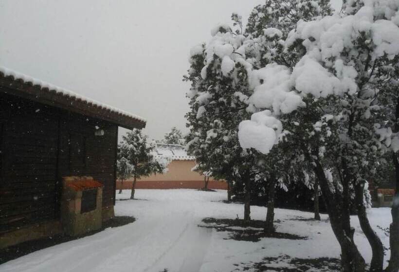 הוסטל Casa Fausto