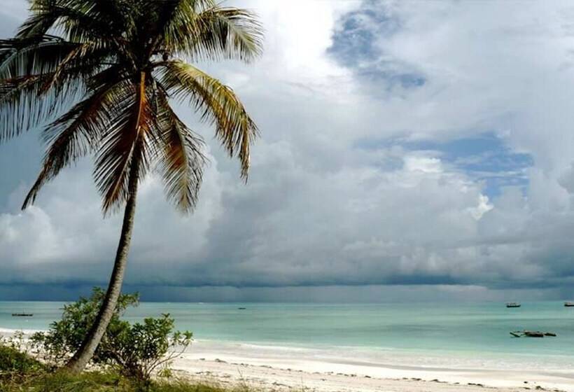 פנסיון Beach House Michamvi