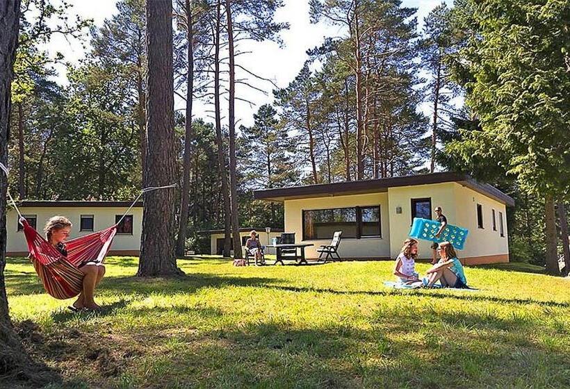 リゾートホテル Vulkaneifel Type L C6