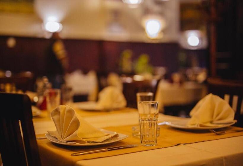 پانسیون Stari Slon