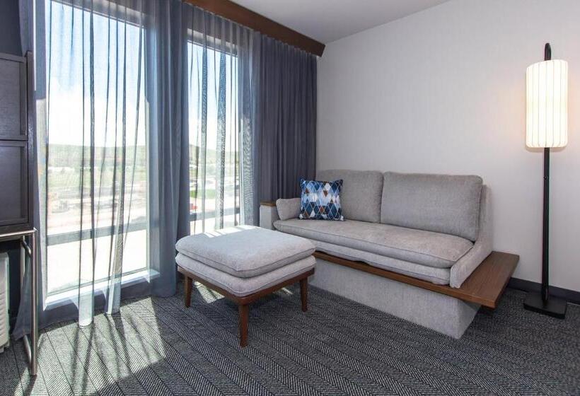 هتل Courtyard By Marriott Rapid City