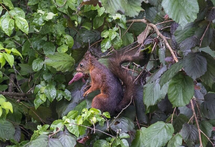 هتل Garni Seerösl Am Wörthersee , Kärnten