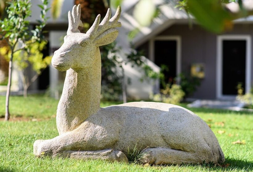 Alexandra Beach Spa Resort