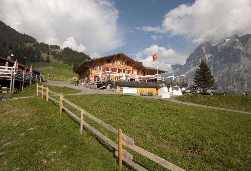 هتل Alpin Bort